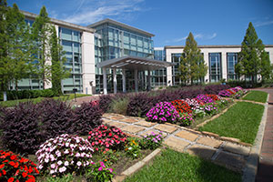 Mitchell Cancer Institute