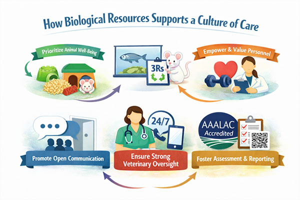 How biological resources supposets a culture of care